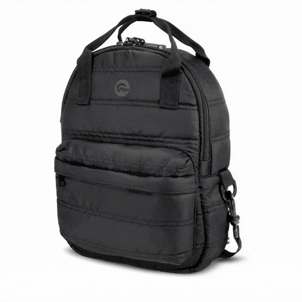 Raven - Elegant Black Canvas